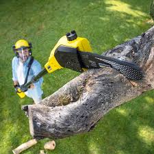 Best Tree Preservation Services  in USA